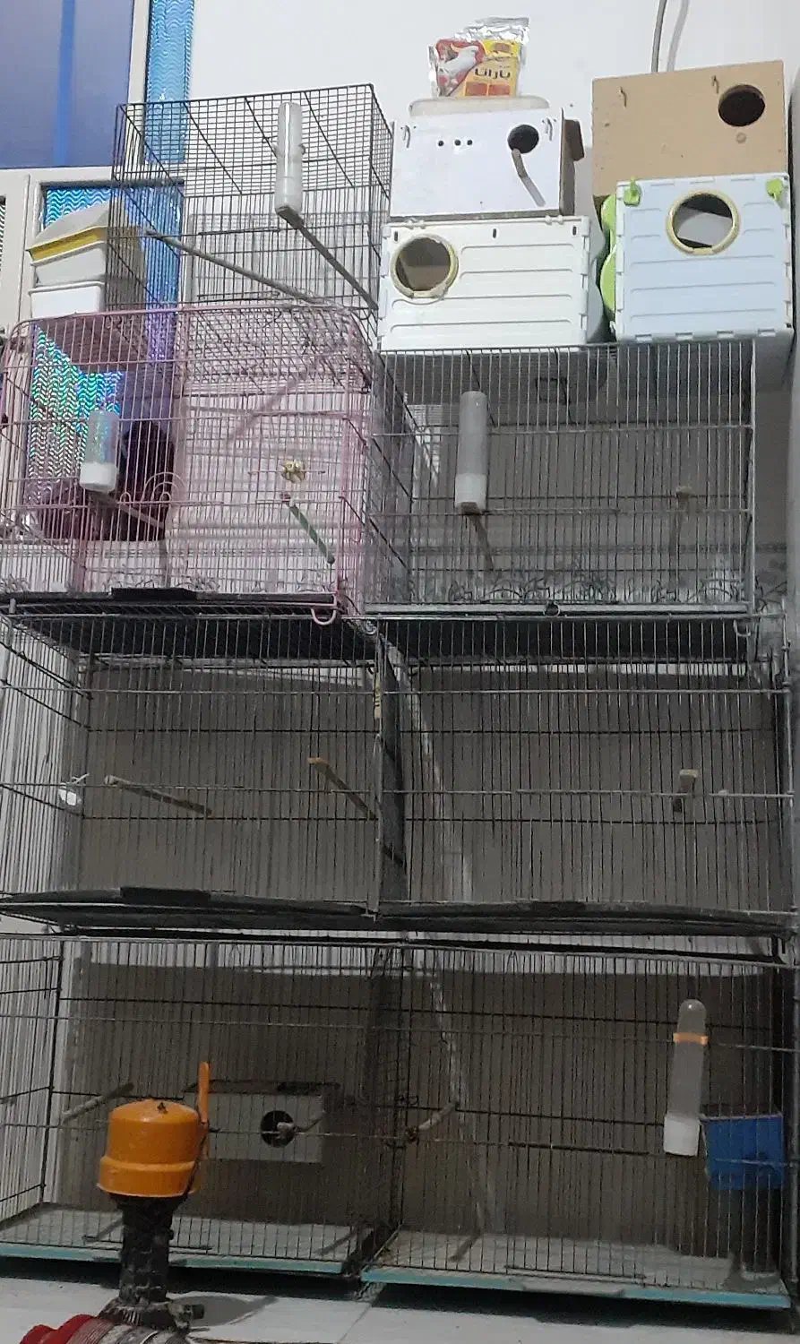 بندر ماهشهر شهرک طالقانی|لوازم جانبی حیوانات|بندر ماهشهر, |دیوار