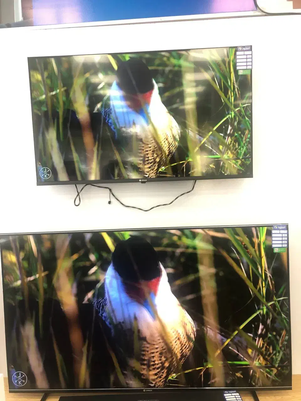 انواع تلویزیون(اندروید ۱۴) بدون کارمزد تا۱۲ماه|تلویزیون و پروژکتور|مشهد, کوثر|دیوار