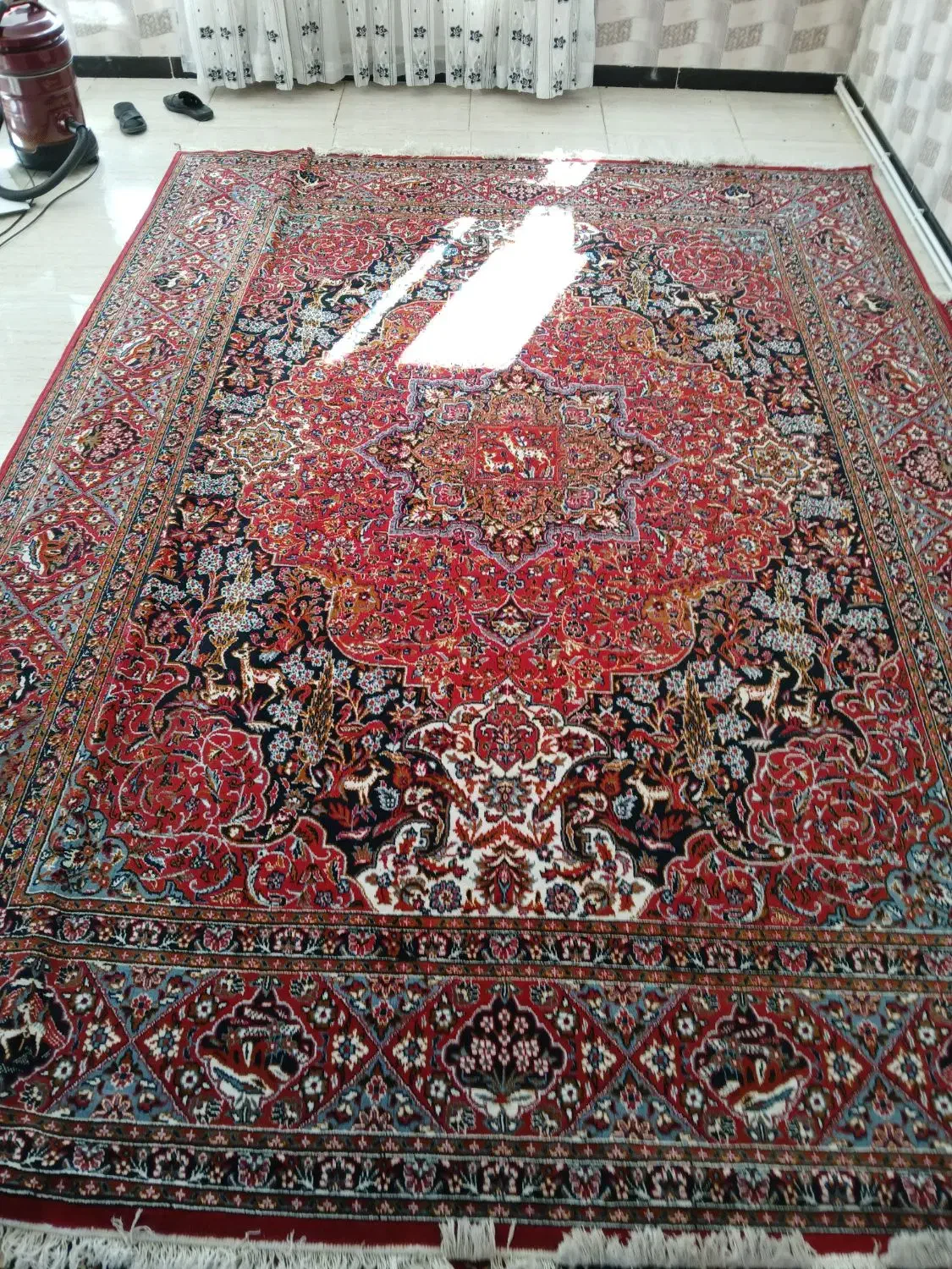 فرش دوازده متری|فرش|ایلام, |دیوار