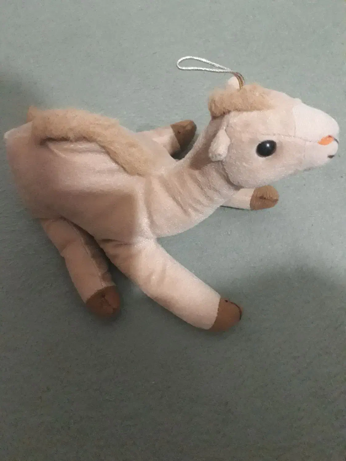 عروسک شتر|اسباب‌بازی بچه|مشهد, فلسطین|دیوار