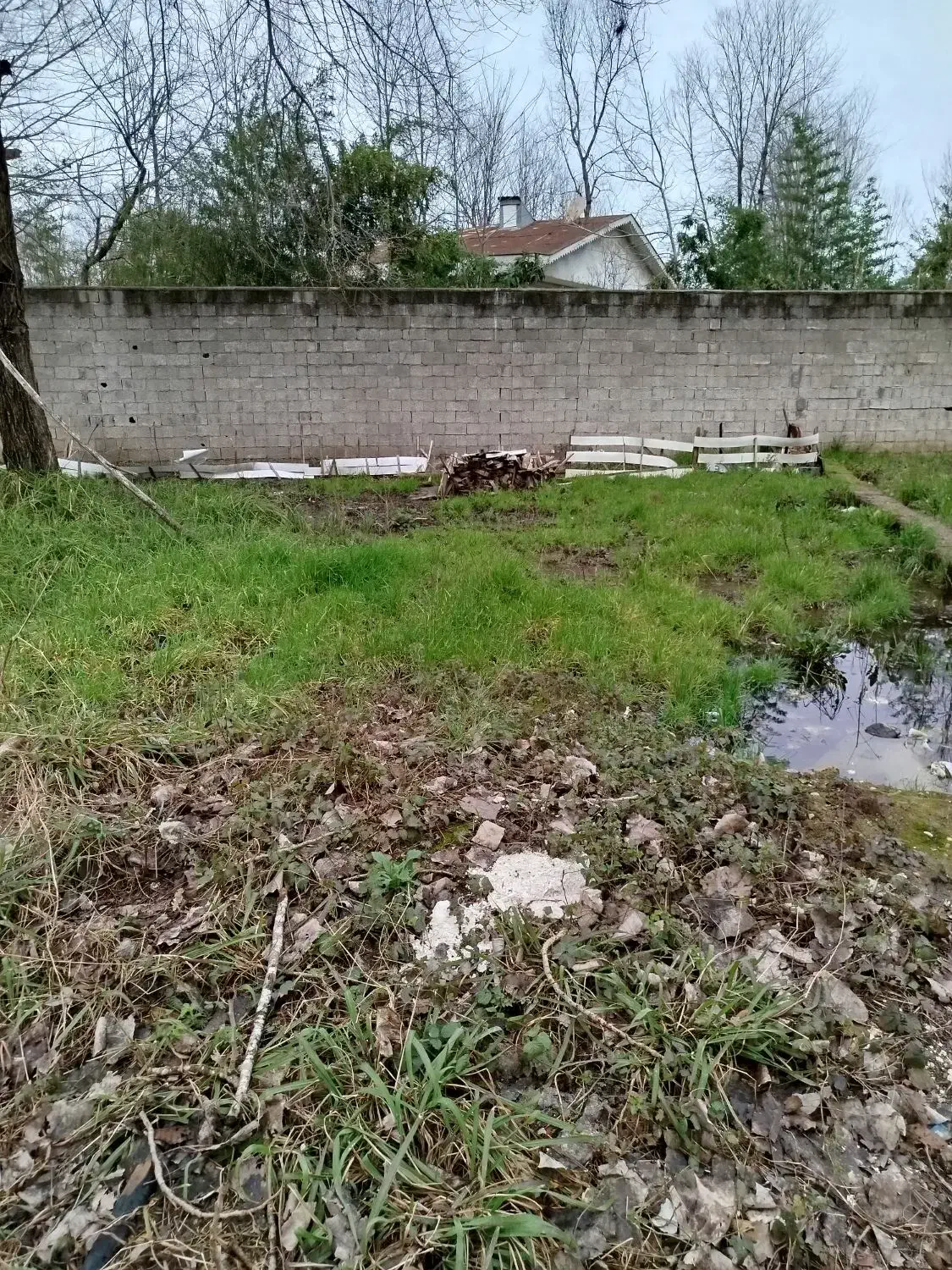 زمین فروشی|فروش زمین و ملک کلنگی|رشت, جانبازان|دیوار