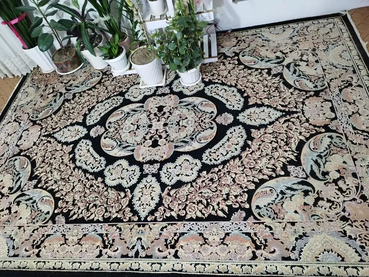 فرش۶ متری|فرش|کرمانشاه, |دیوار