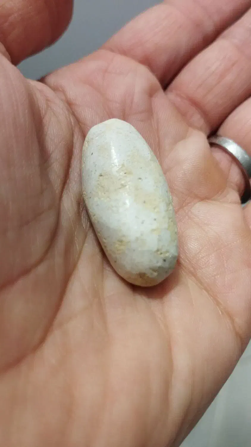 هبهاپ و مهرگیاه|بدلیجات|ری, سیزده آبان|دیوار