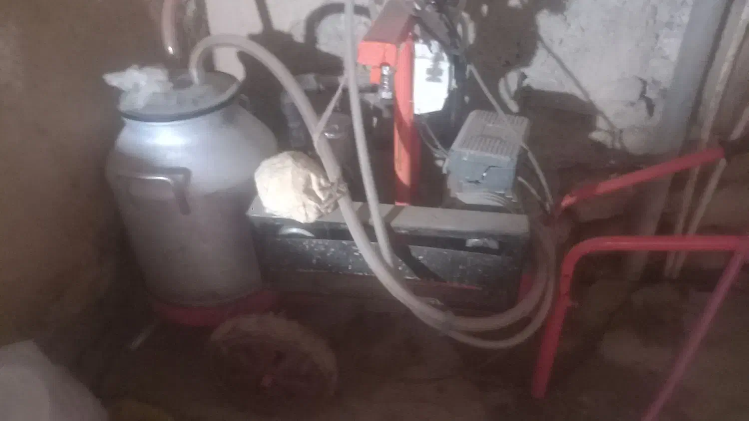 شیر دوش|لوازم جانبی حیوانات|مانه, |دیوار