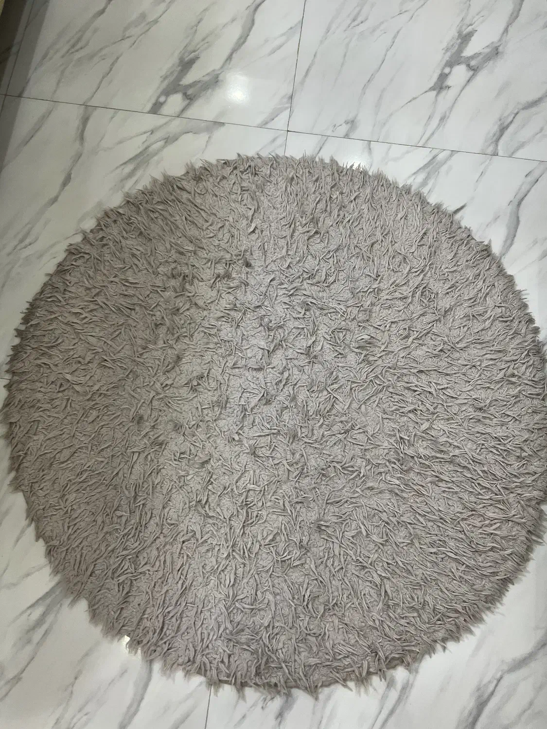 فرش شگی|فرش|رشت, معلم|دیوار