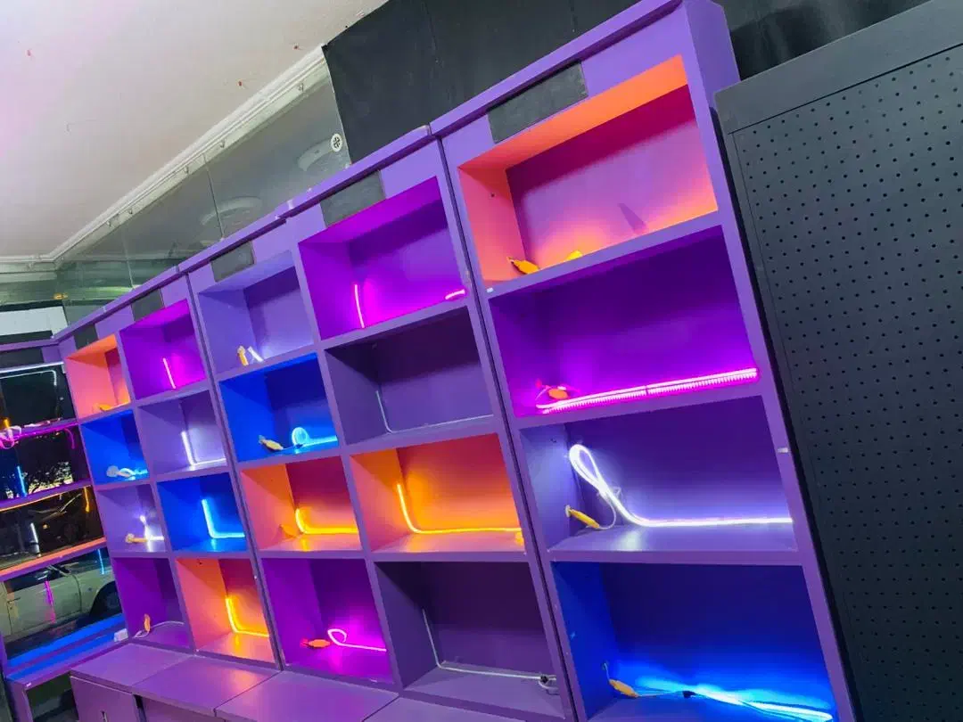 مدرن با نور پرداز|کتابخانه، شلف، قفسه‌های دیواری|بندر کنگان, |دیوار