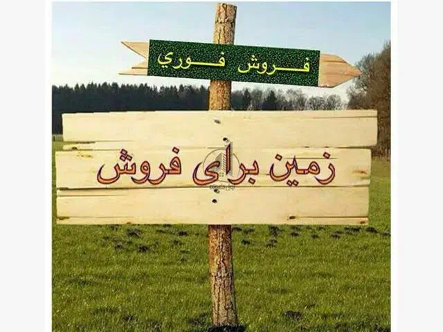 ۵۰۰۰ متر زمین کشاورزی تیون سند تک برگ|فروش دفتر صنعتی، کشاورزی، تجاری|شیراز, بید زرد|دیوار