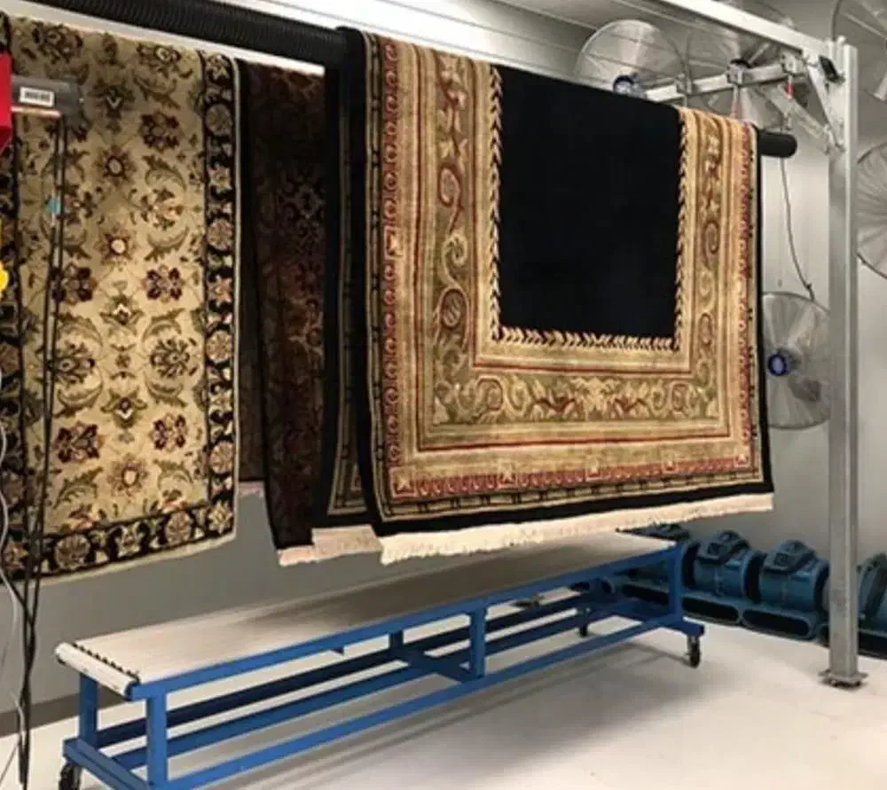 قالیشویی (وصال) هفت تیر کارخونه قند مصباح ساسانی|خدمات نظافت|کرج, ساسانی (قلمستان)|دیوار