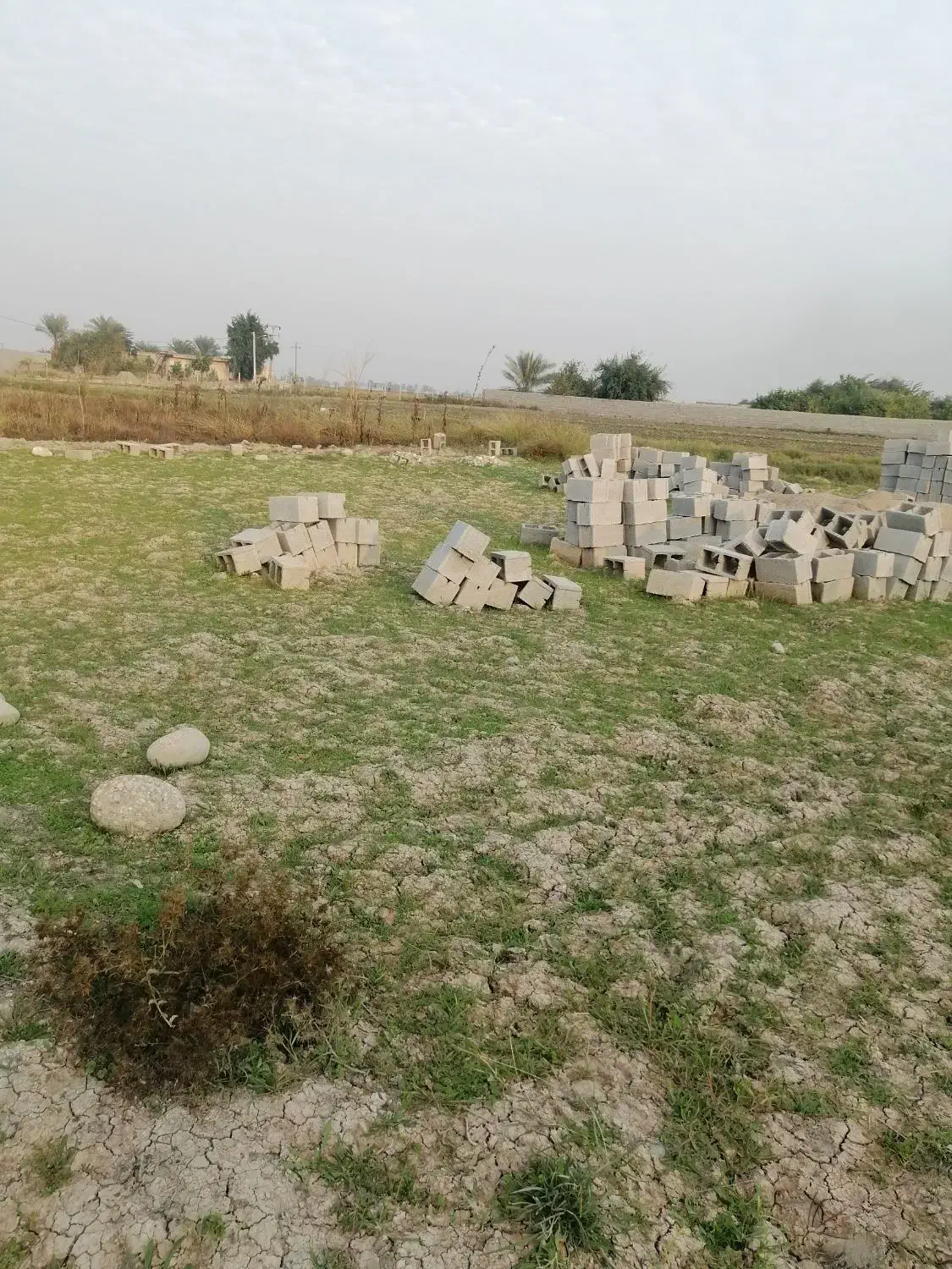 فروش زمین باغ ویلا|فروش زمین و ملک کلنگی|شوشتر, |دیوار