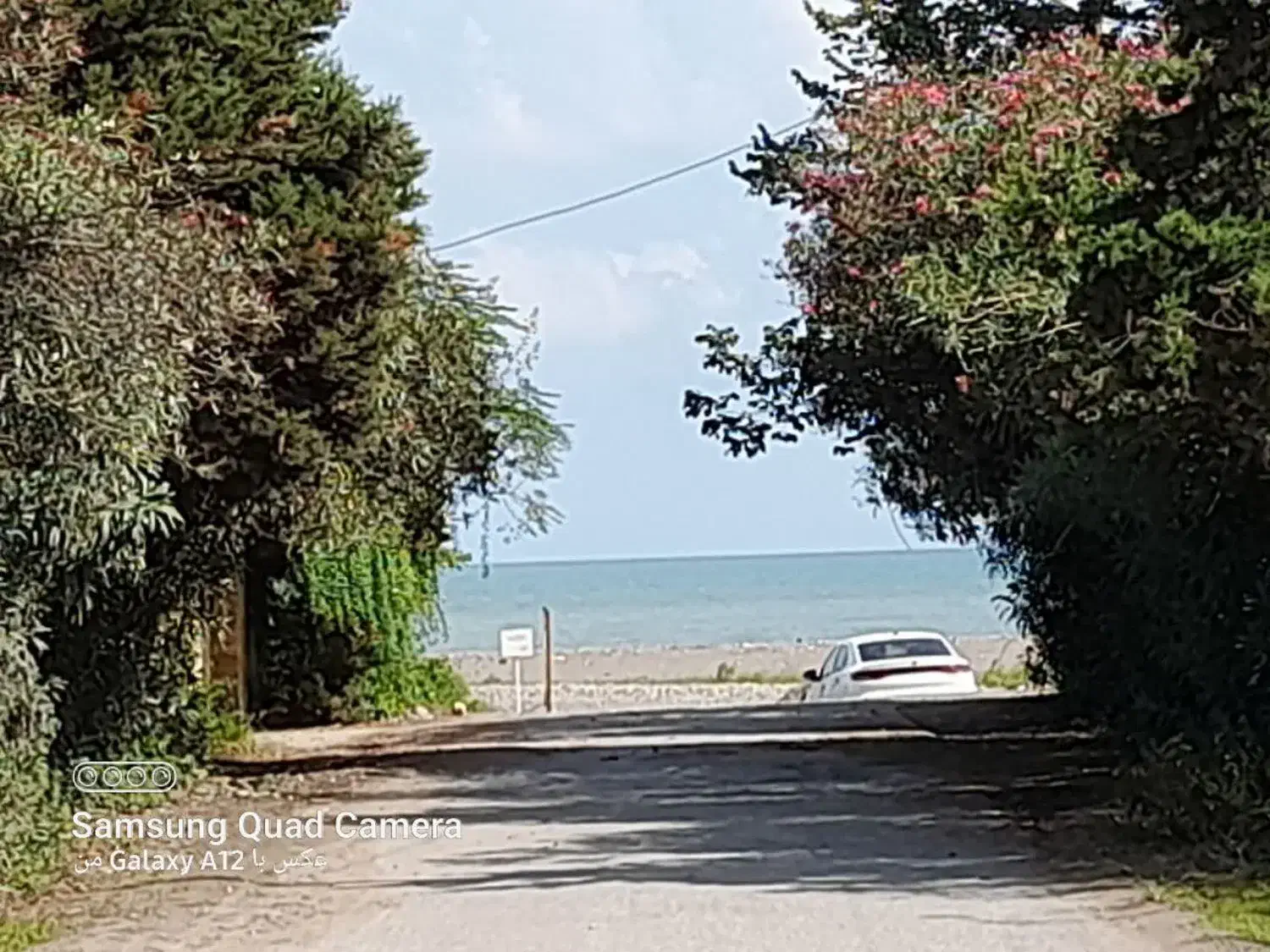 اجاره ویلا دربست دوقدمی ساحل|اجارهٔ خانه و ویلا|نوشهر, |دیوار