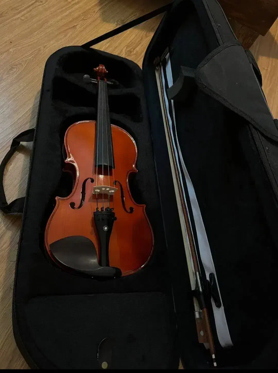 ویولن Locto|ویولن|اندیمشک, |دیوار