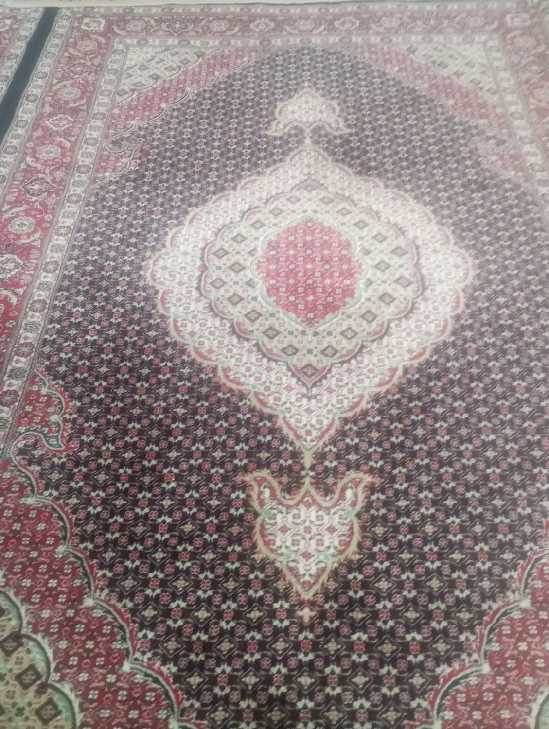 فرش ماهی|فرش|ارومیه, |دیوار