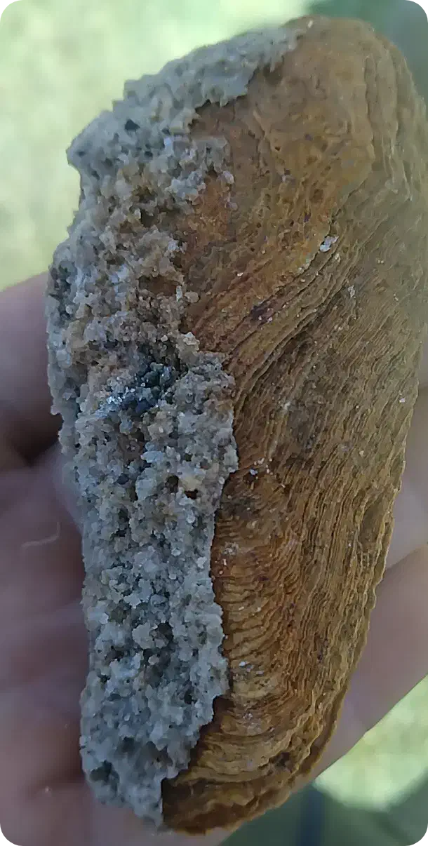 کسی میدونی این سنگ چیه|جواهرات|خوی, |دیوار