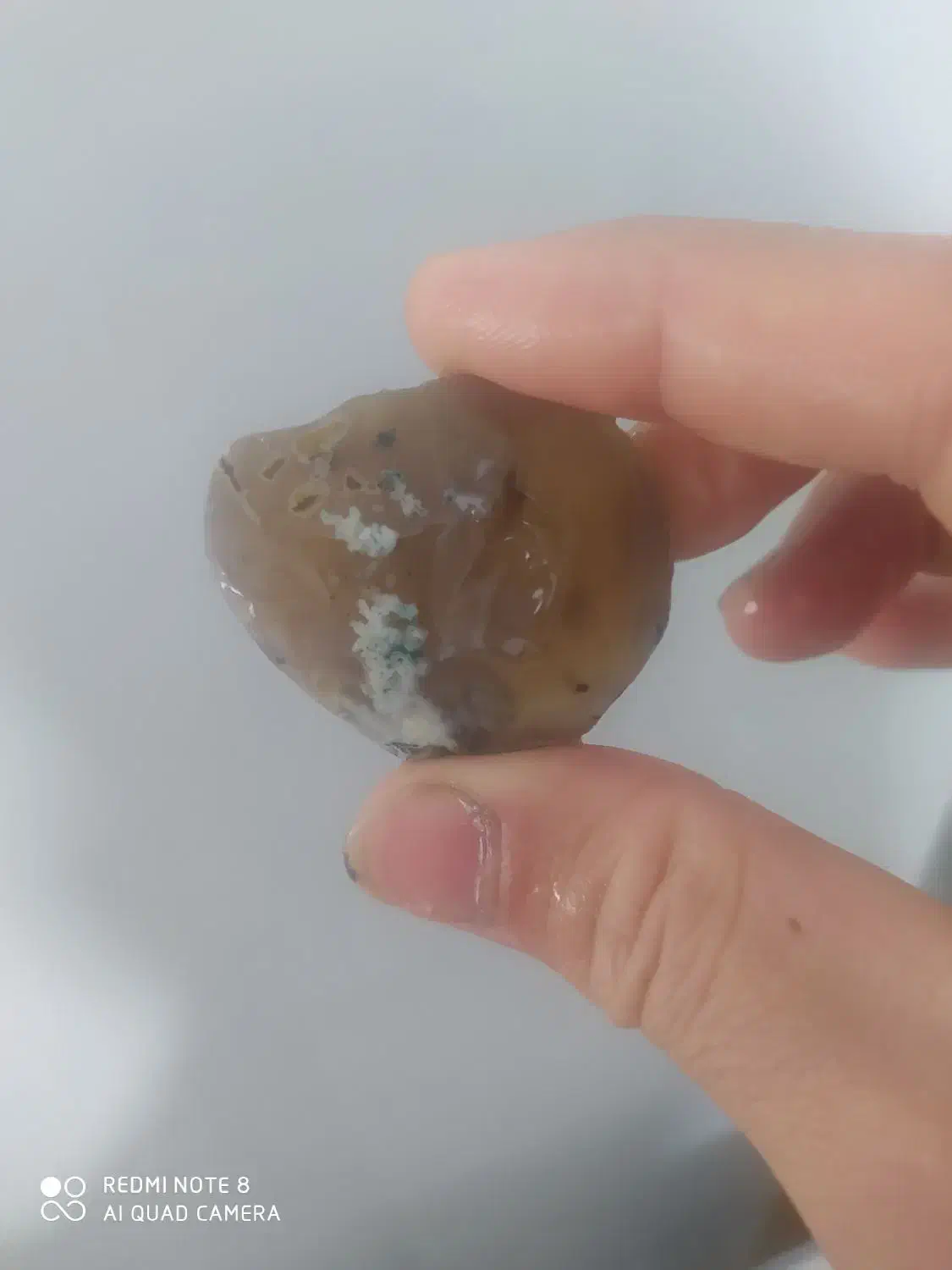 سنگ شجر خام|کلکسیون اشیاء عتیقه|قروه, |دیوار