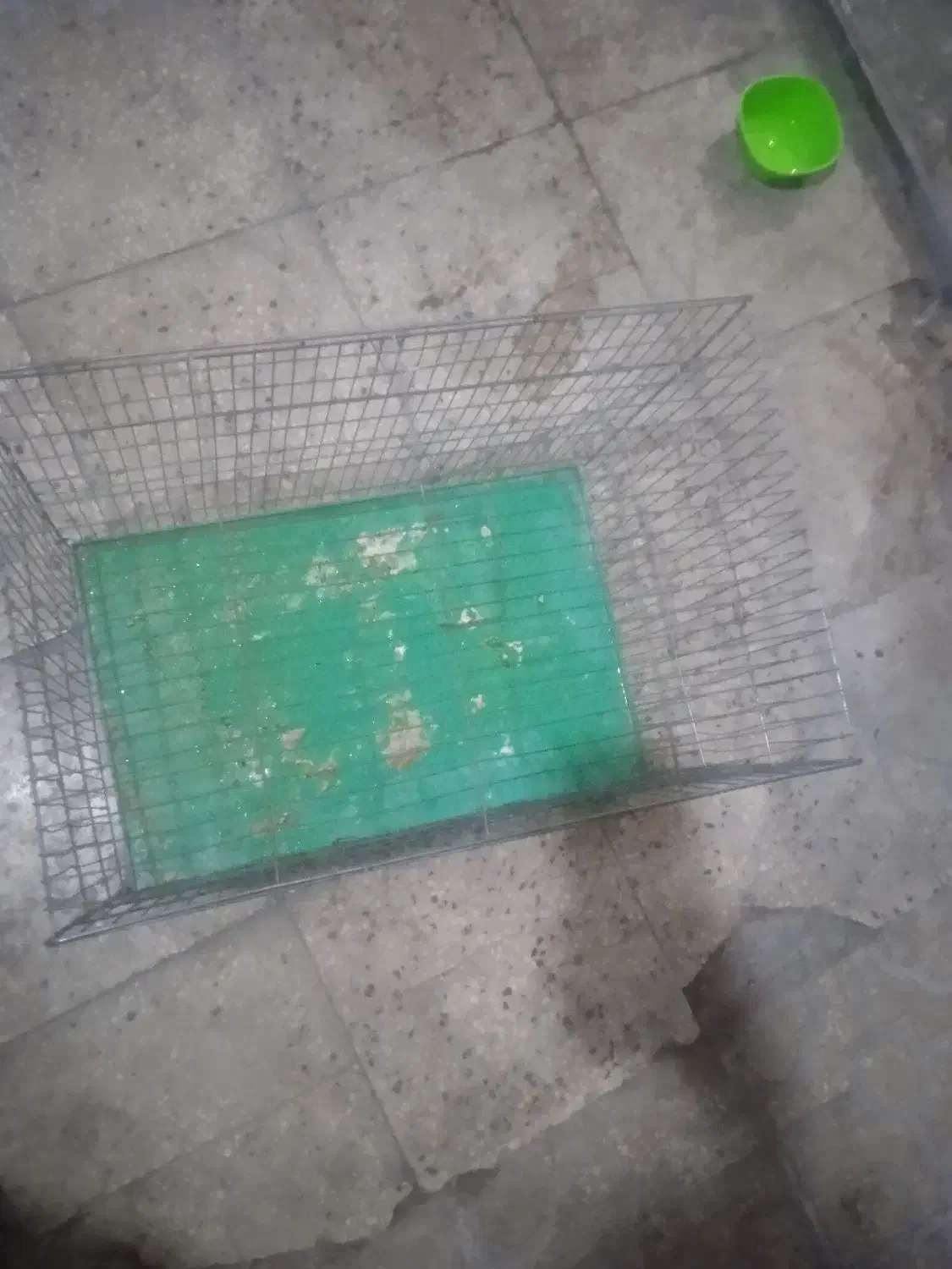 قفس فروش فوری|لوازم جانبی حیوانات|فسا, |دیوار