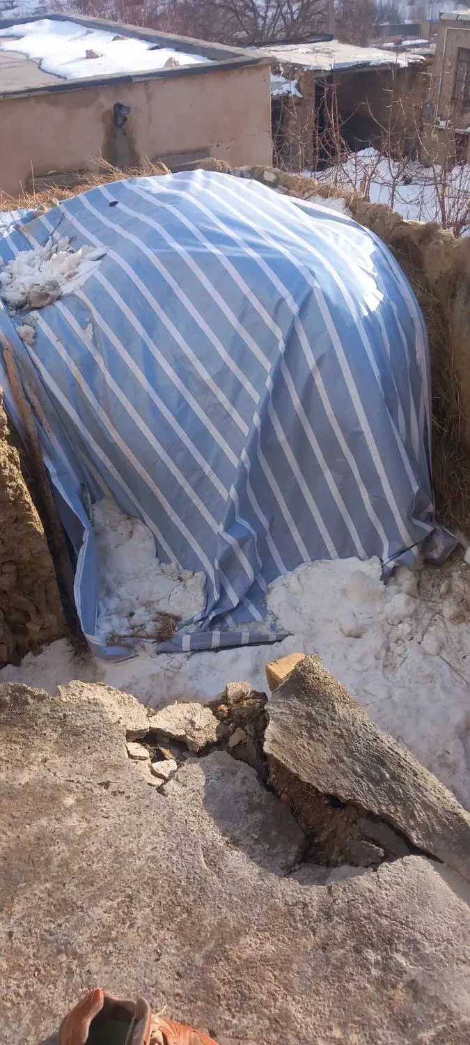 علف و کاه|لوازم جانبی حیوانات|ضیاء آباد, |دیوار