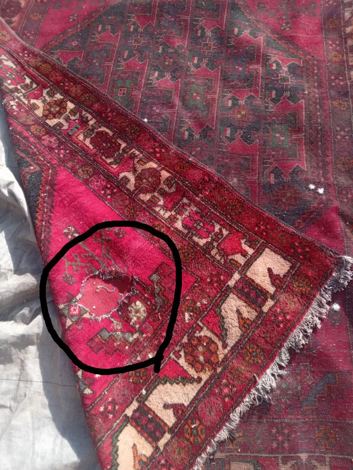 قالی دست بافت|فرش|قوچان, |دیوار