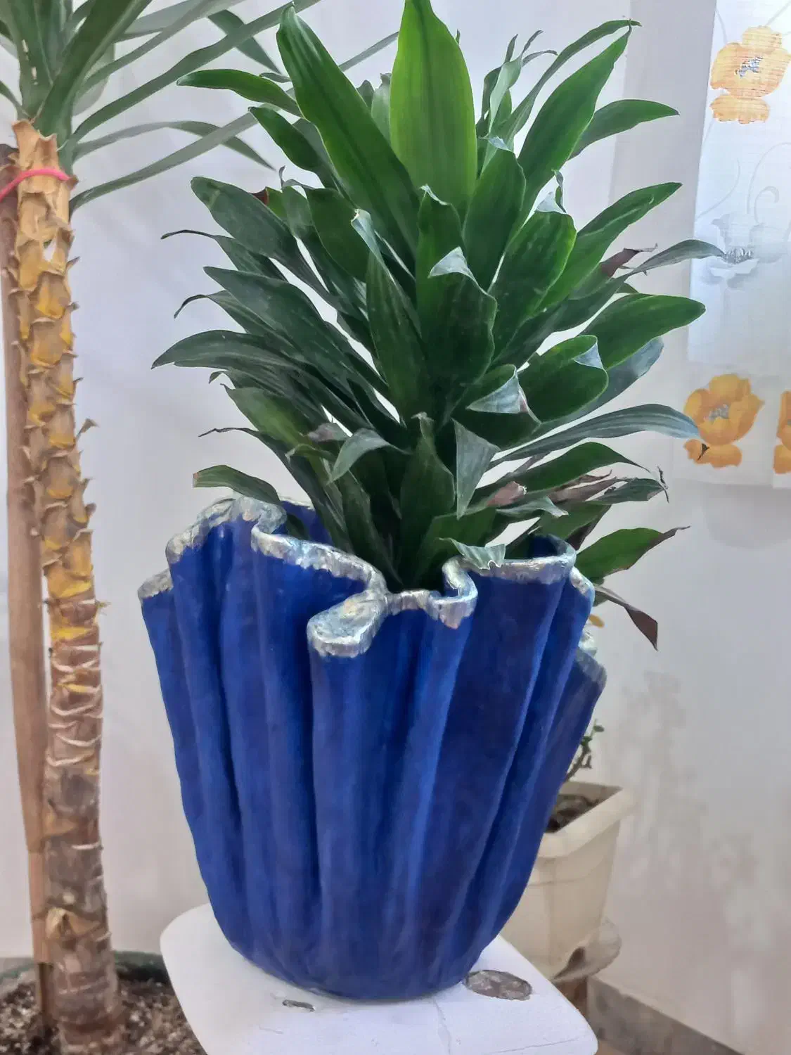 گلدان دست ساز با انتخاب رنگ و سایز دلخواه|صنایع دستی و سایر لوازم تزئینی|لنگرود, |دیوار