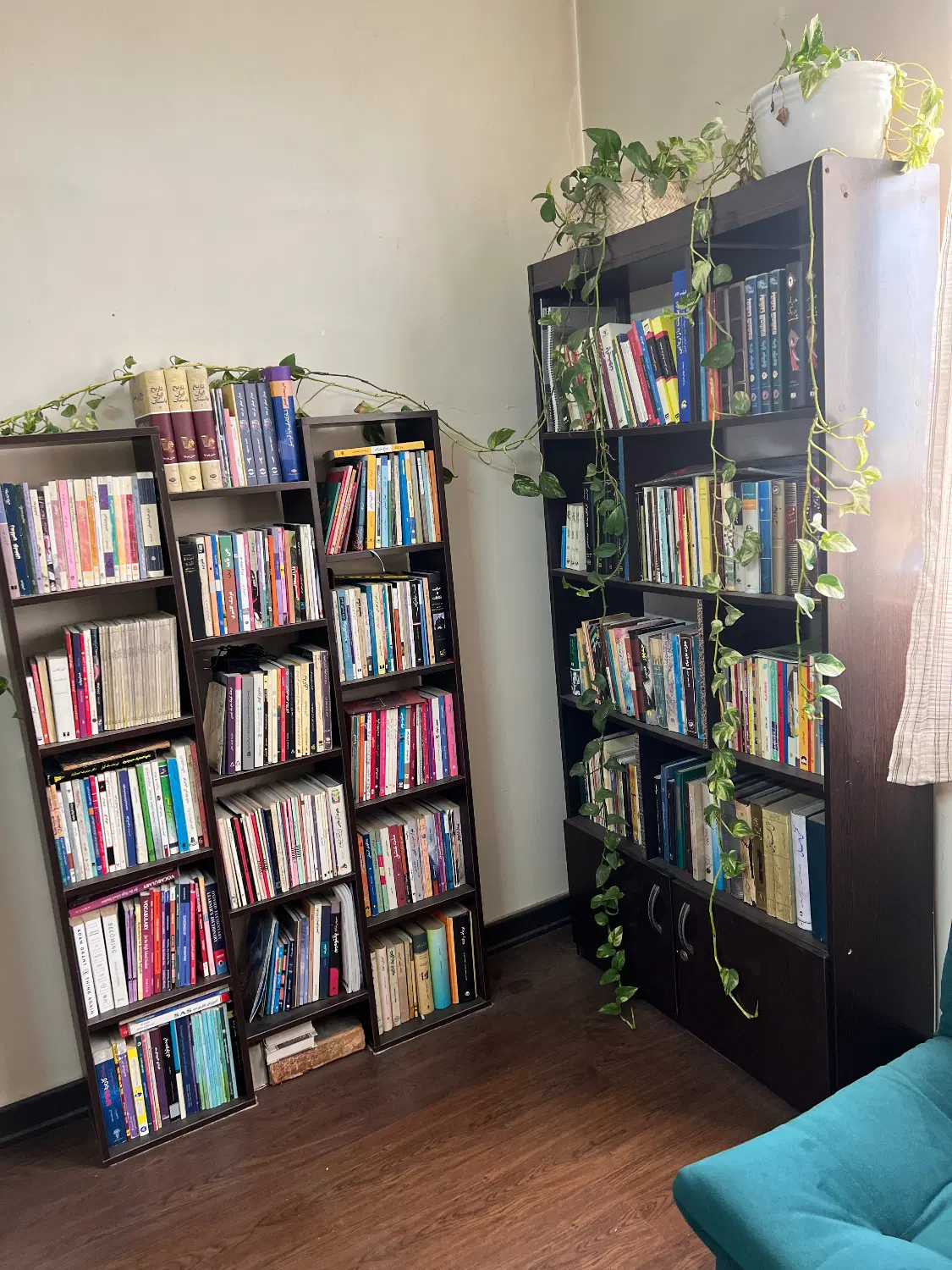 کتابخانه|کتابخانه، شلف، قفسههای دیواری|تهران, جمهوری|دیوار