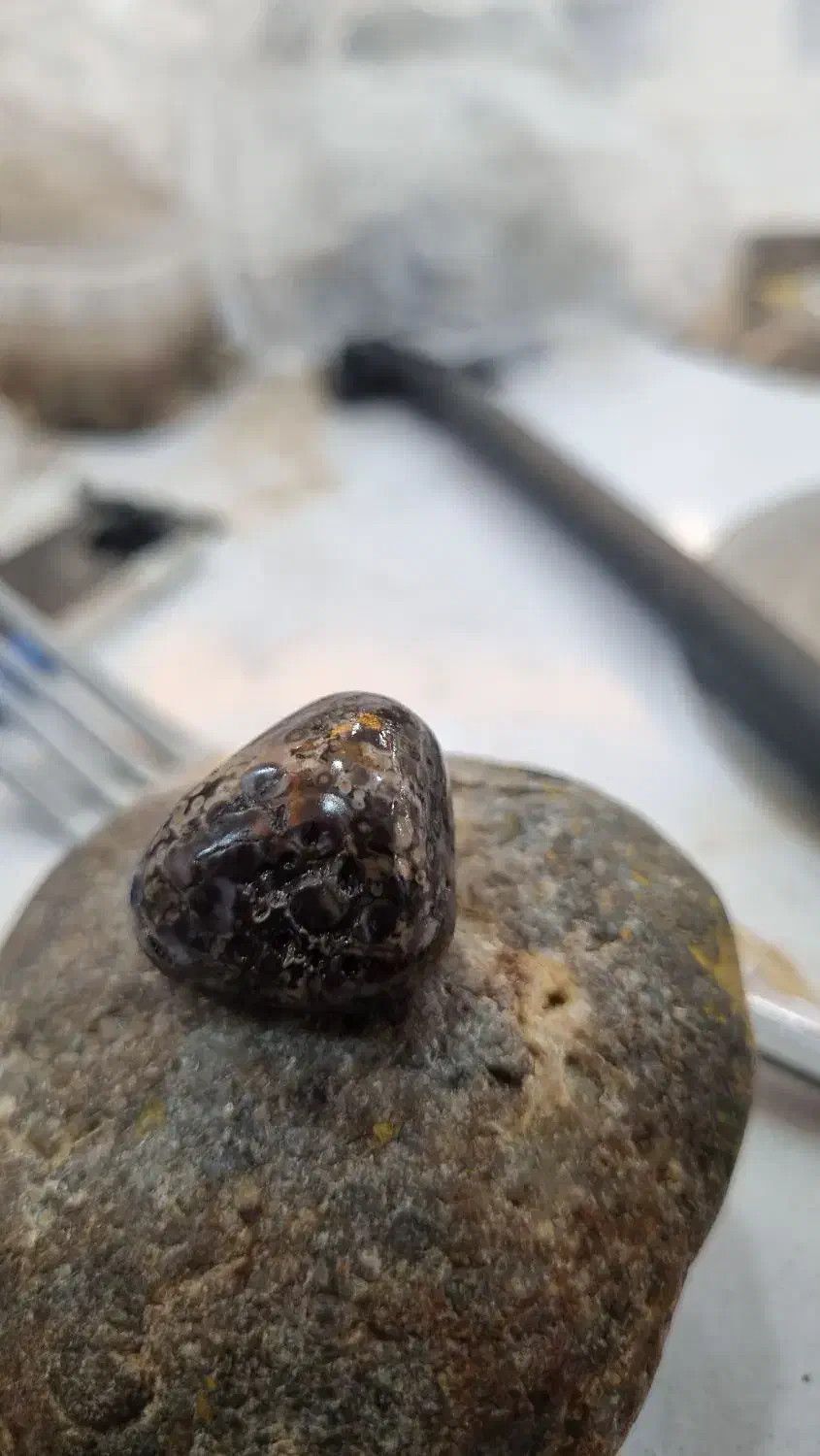 زوعه مار اصل کمیاب|جواهرات|شوش, |دیوار