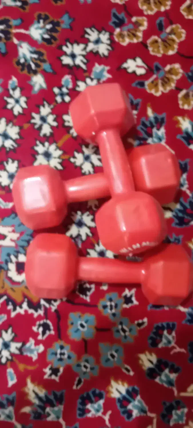 دمبل خانگی|تجهیزات ورزشی|رزن, |دیوار