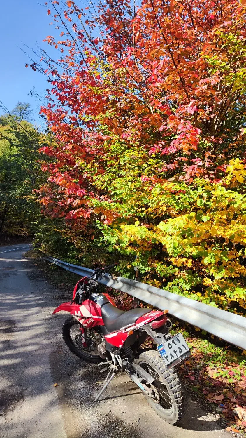 تریل کویر T2|موتورسیکلت|ساری, |دیوار