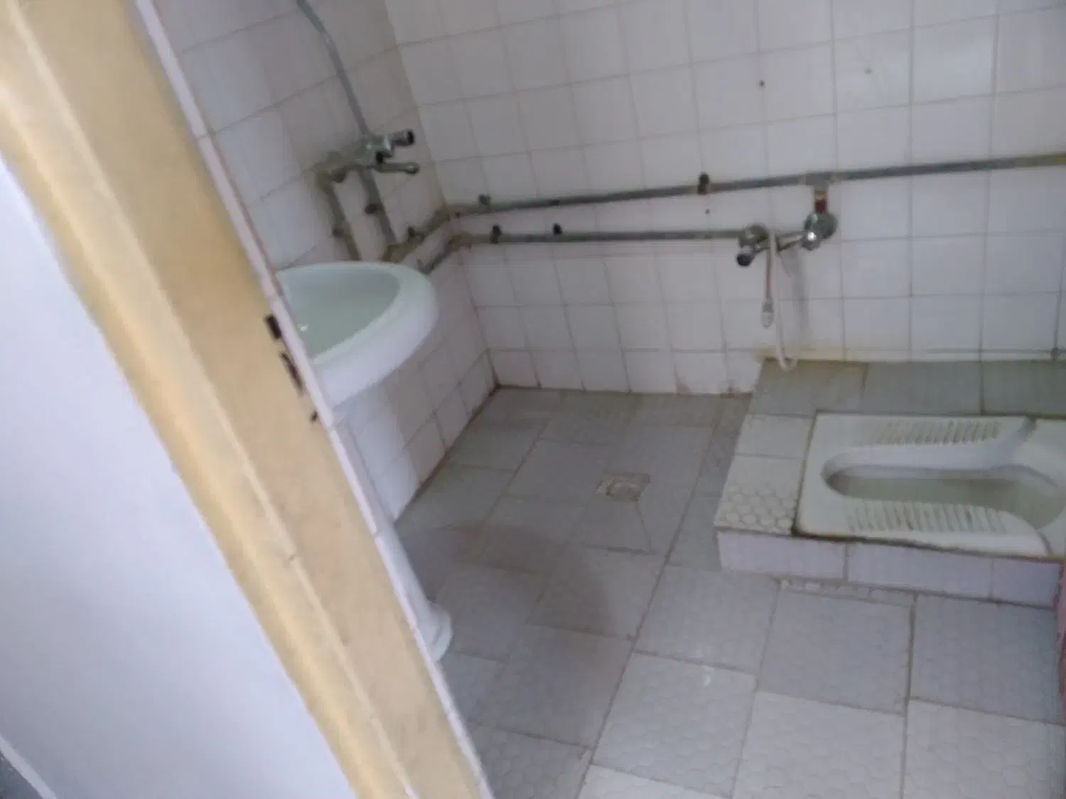 مجتمع زیتون دانشجو|اجارهٔ آپارتمان|زاهدان, |دیوار