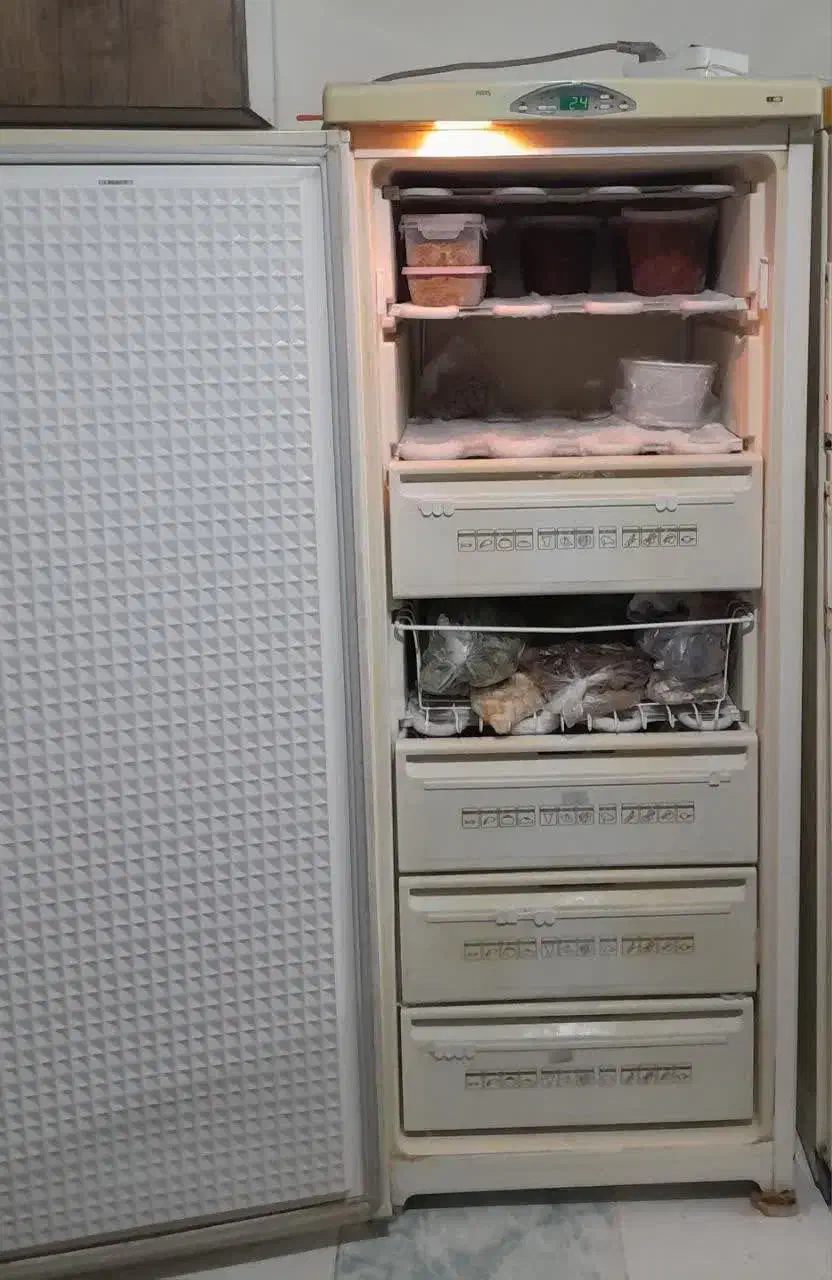 فریزر|یخچال و فریزر|صفادشت, |دیوار