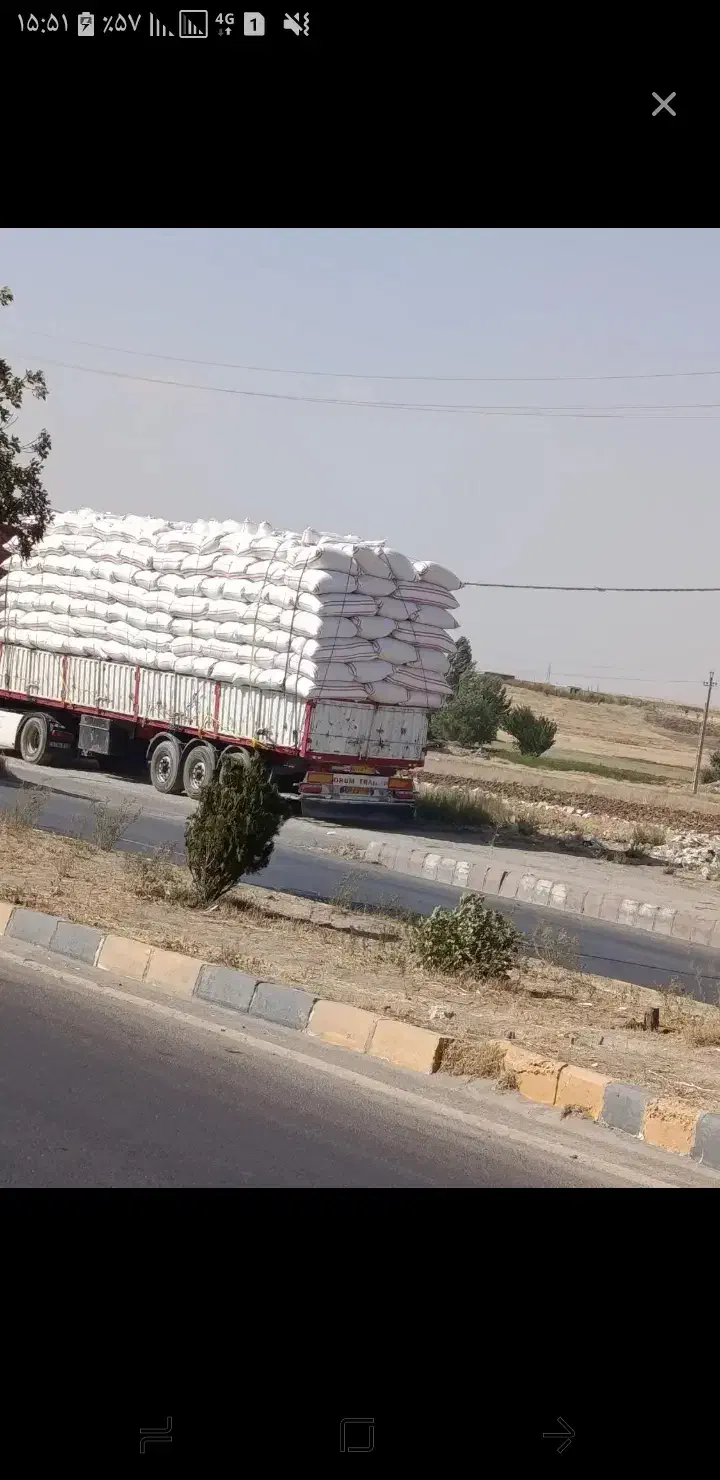 خریدار کاه به صورت عمده با تناج بالا، نقدی و چکی|خدمات باغبانی و درختکاری|دهگلان, |دیوار