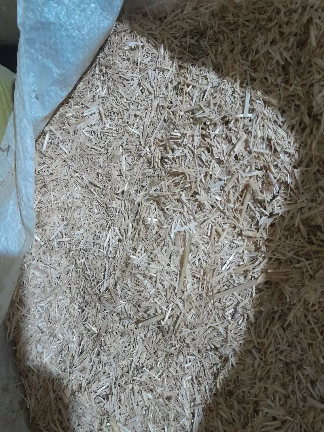 کاه|عمدهفروشی|اسدآباد, |دیوار