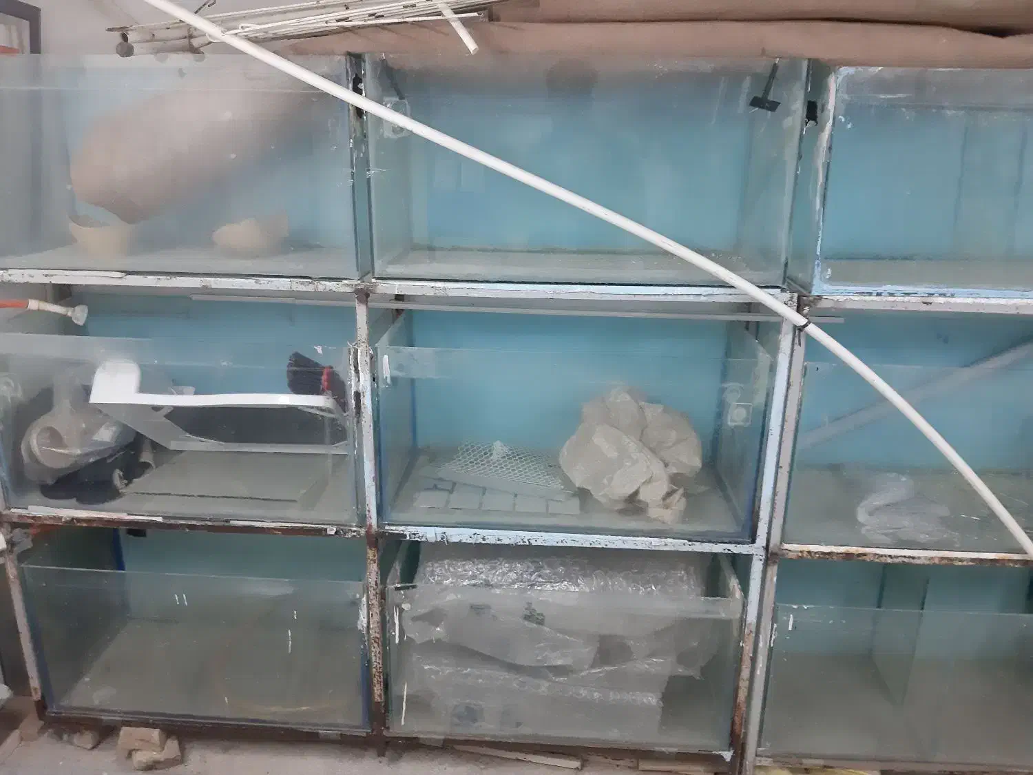 تعدادی اکواریوم سالنی قیمت توافقی|ماهی|سبزوار, توحیدشهر|دیوار