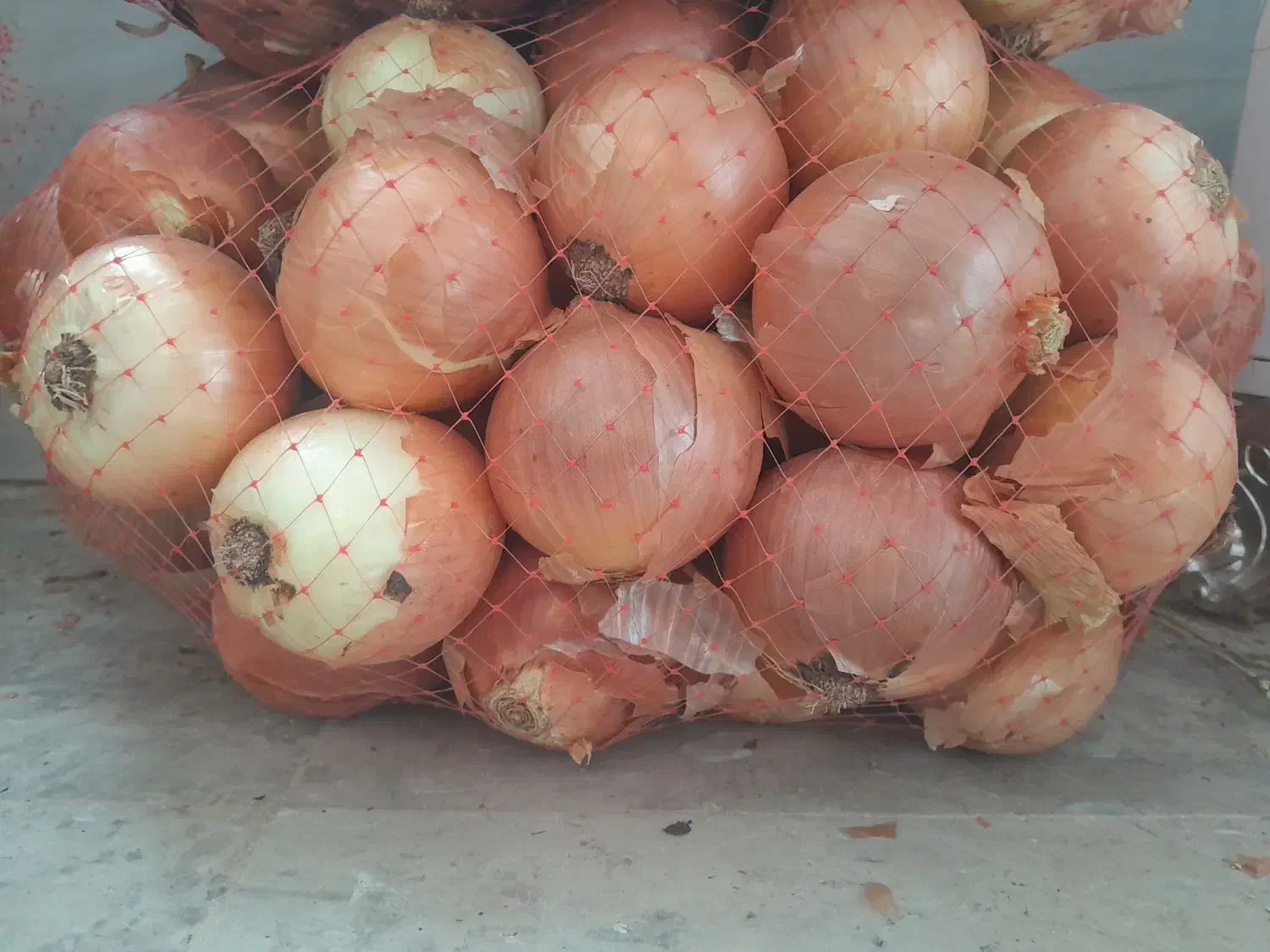 پیاز زرد بروجرد|عمدهفروشی|سیلاخور, |دیوار