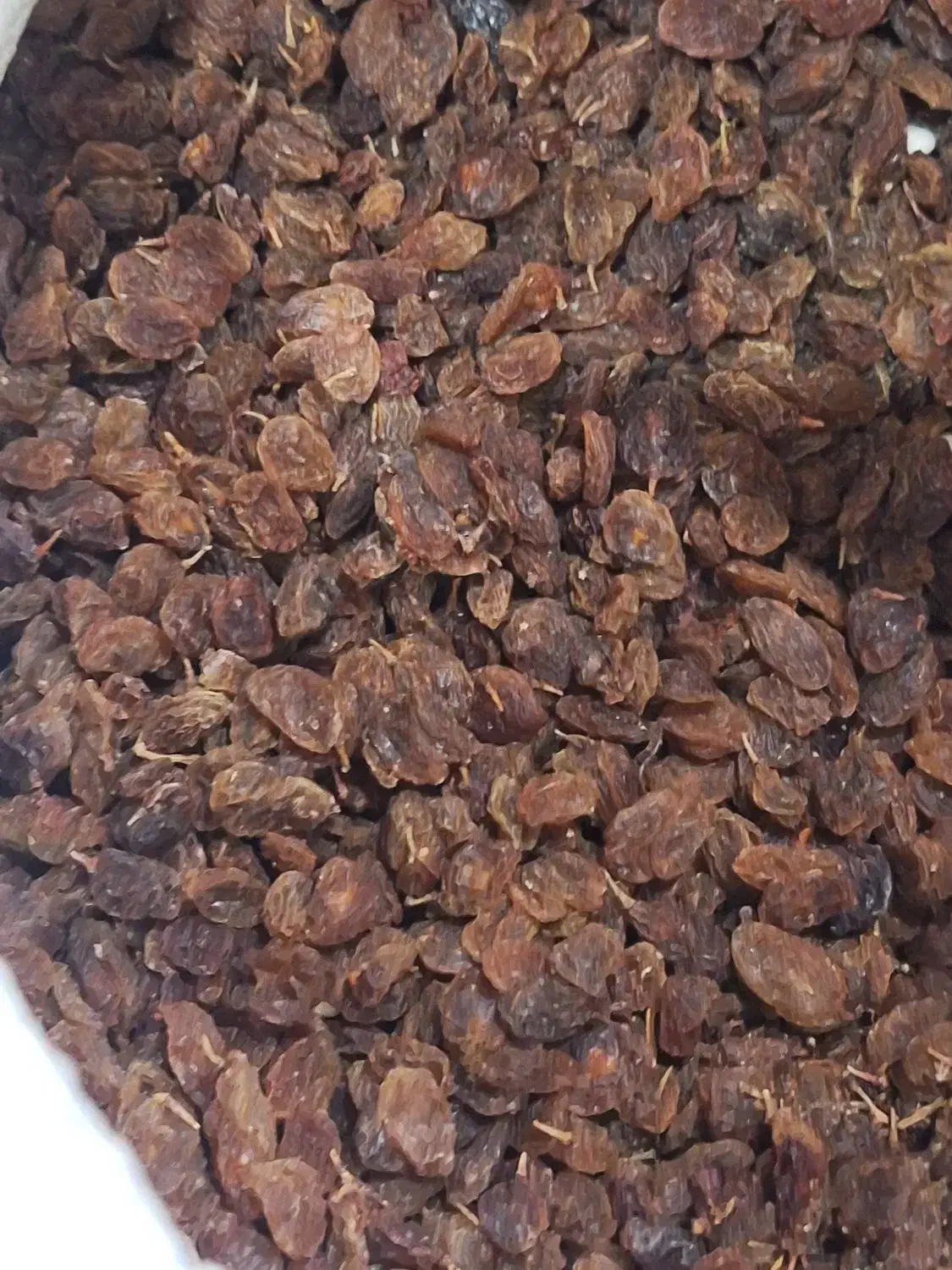 کشمش آفتابی|خوردنی و آشامیدنی|اصفهان, بابوکان|دیوار