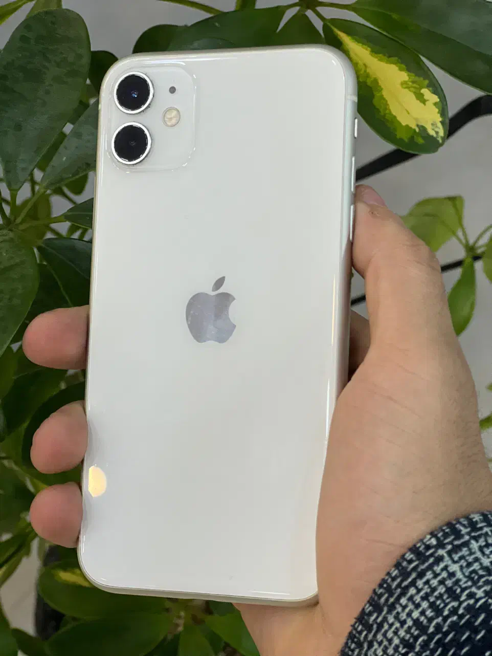 Apple 11 normal ایفون ۱۱ نرمال ۱۲۸ گیگ|موبایل|مشهد, عامل|دیوار