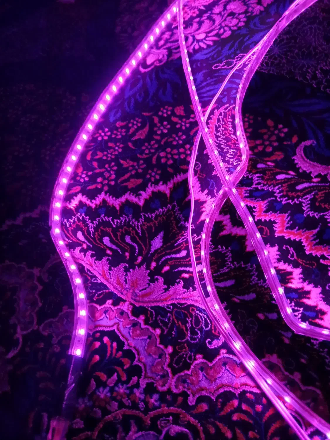 چراغ کنترل دار ۱۶ رنگ|ریسه و چراغ تزئینی|نسیم‌شهر, |دیوار