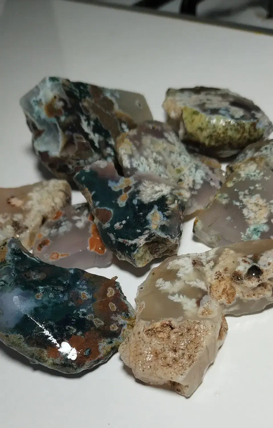 شجر هفت رنگ خاص|بدلیجات|فردوس (خراسان), |دیوار