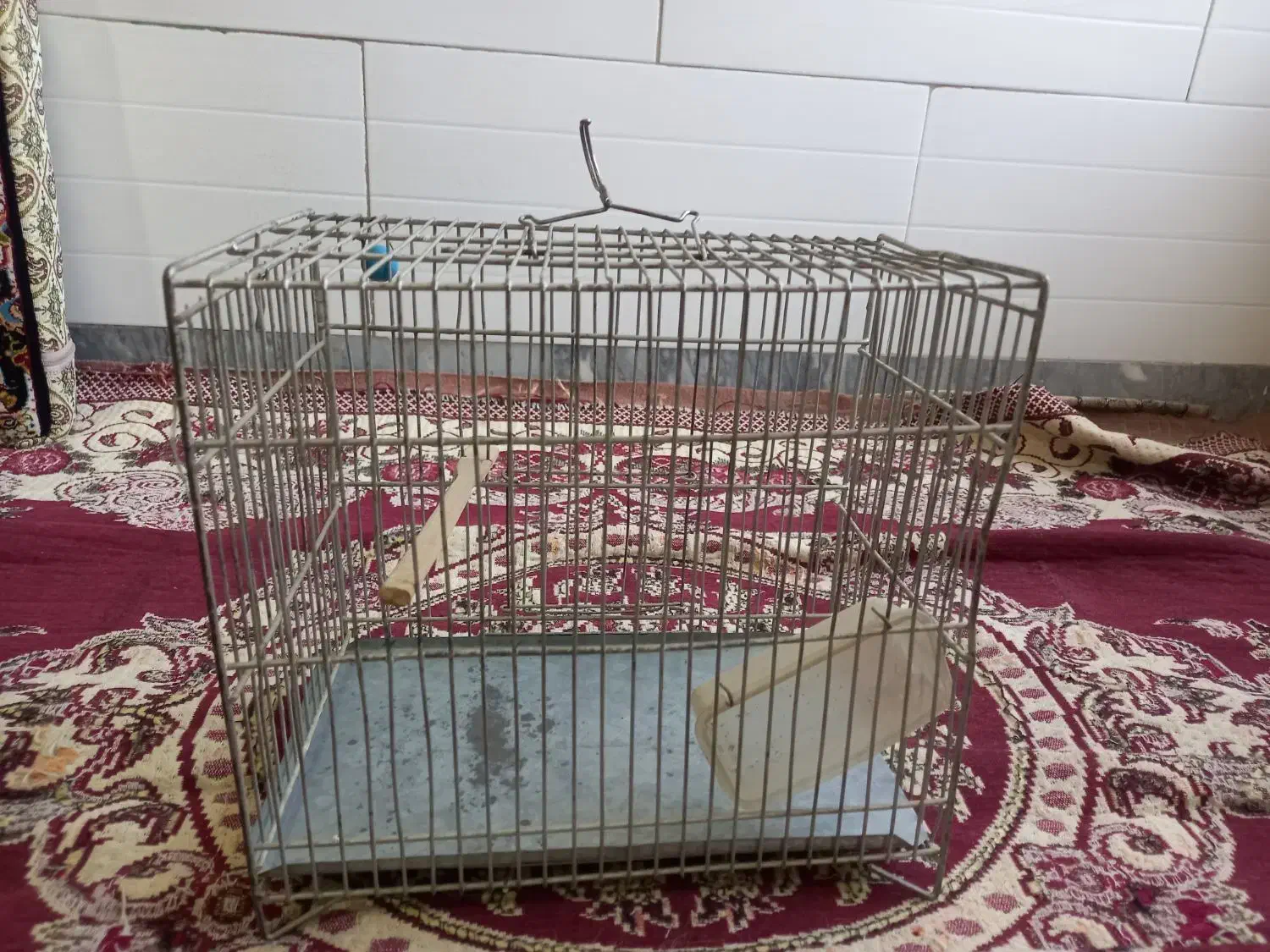 قفس پرنده|لوازم جانبی حیوانات|همدان, |دیوار