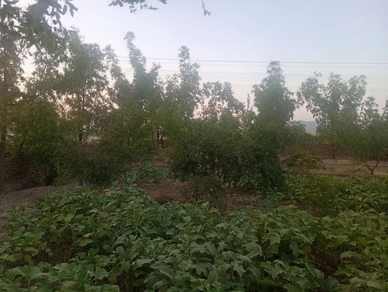 تصویر 3