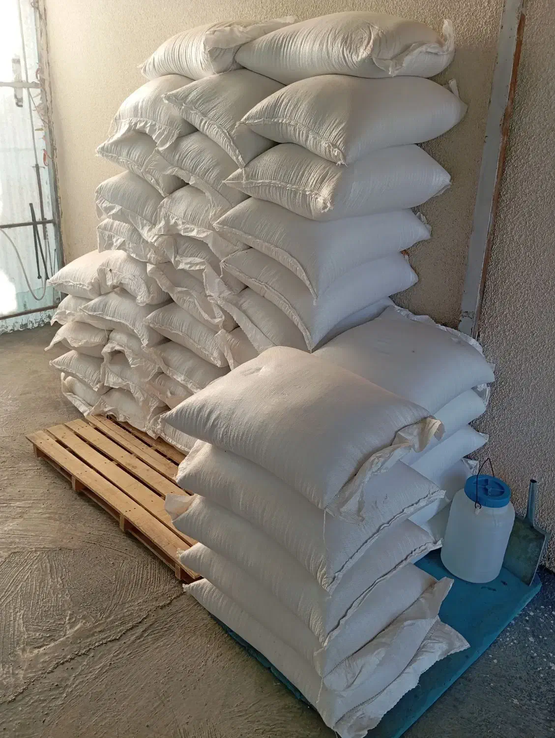 گندم بوجاری شده|خدمات باغبانی و درختکاری|زنجان, |دیوار