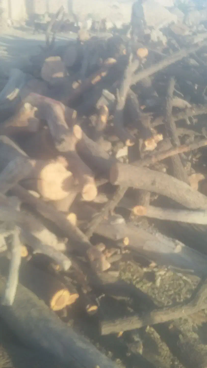 خرید و برش انواع چوب باغی|خدمات باغبانی و درختکاری|قائن, |دیوار