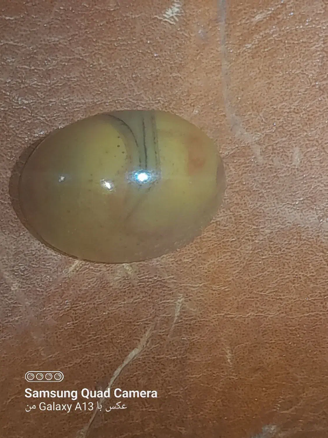 مهره و نگین سلیمانی|کلکسیون اشیاء عتیقه|بهبهان, |دیوار