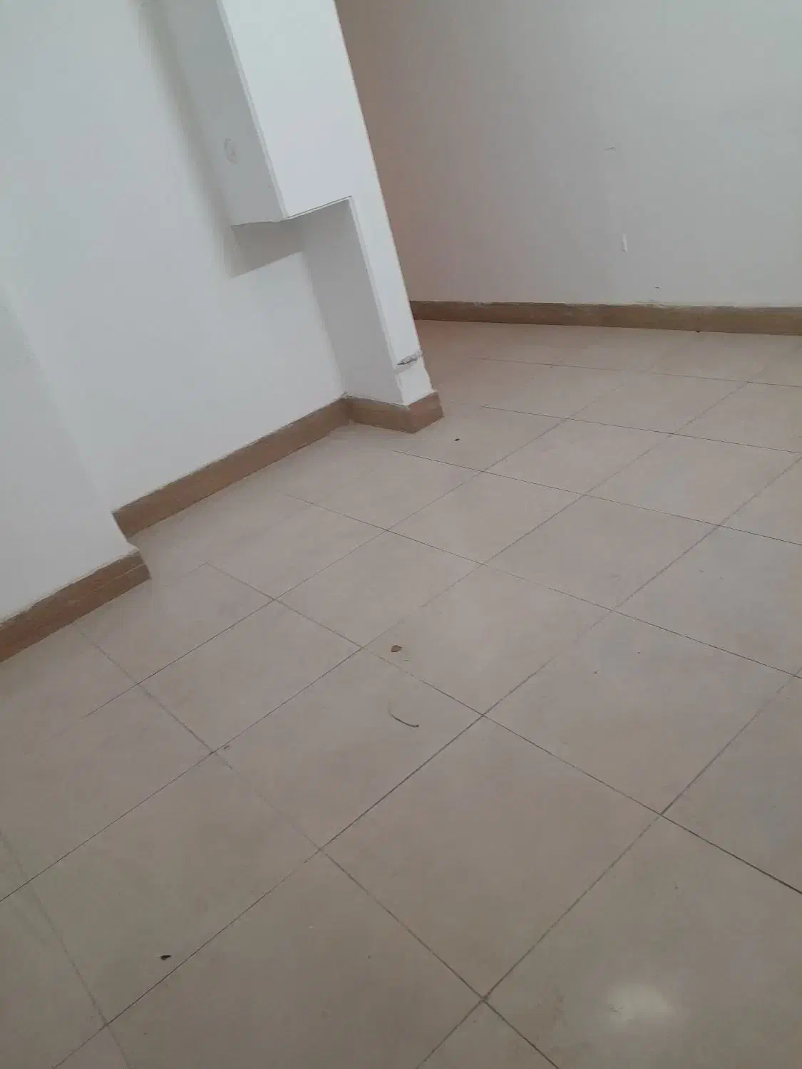 تجاری   اداری|اجارهٔ دفتر کار، اتاق اداری، مطب|مشهد, جنت|دیوار