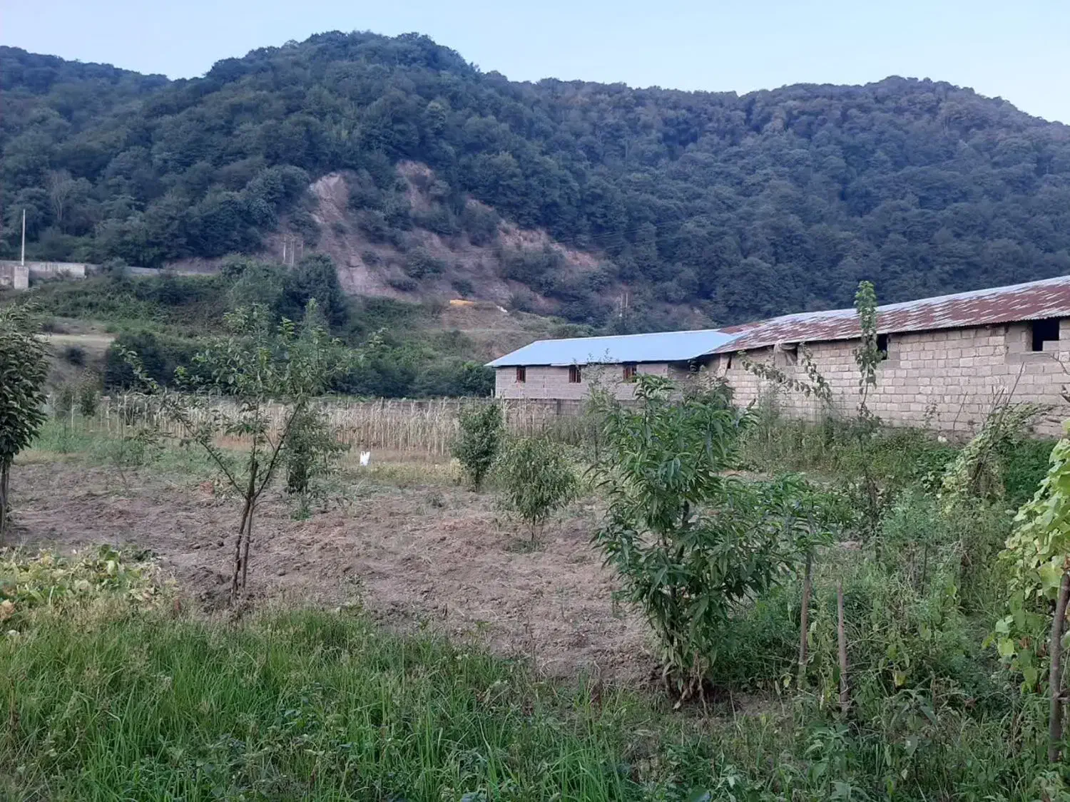 فروش زمین زراعی|فروش زمین و ملک کلنگی|زیرآب, |دیوار