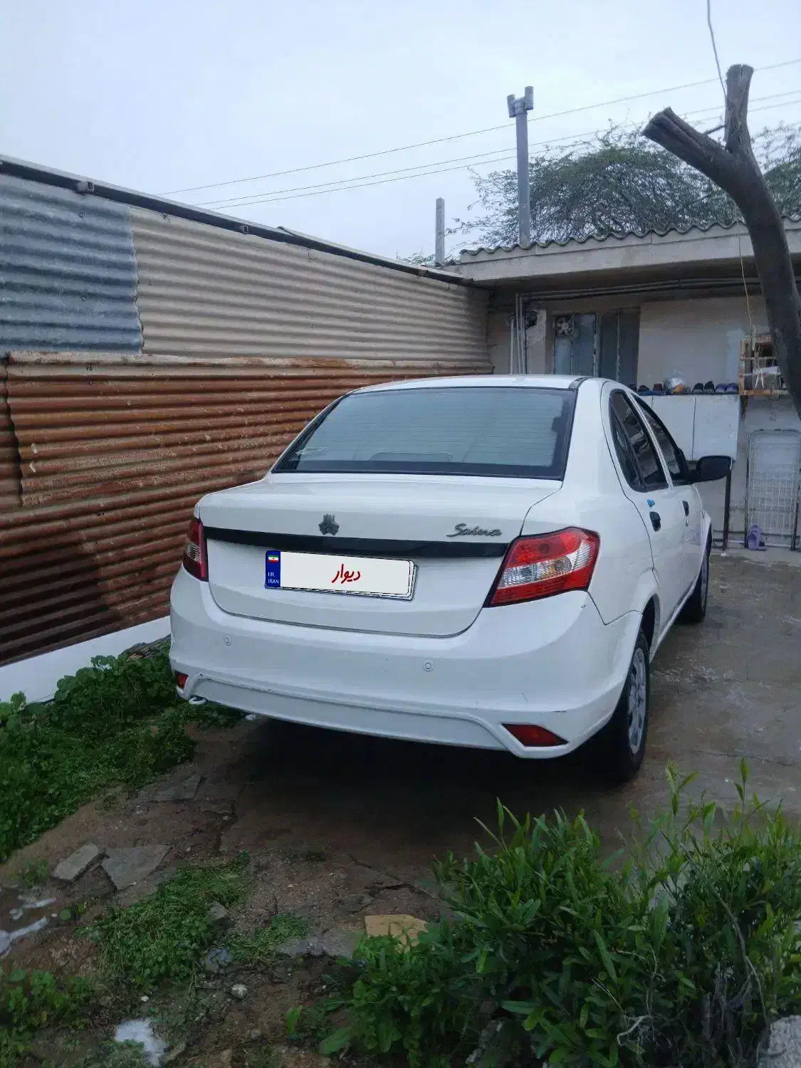 ساینا EX|خودرو سواری و وانت|بوشهر, |دیوار