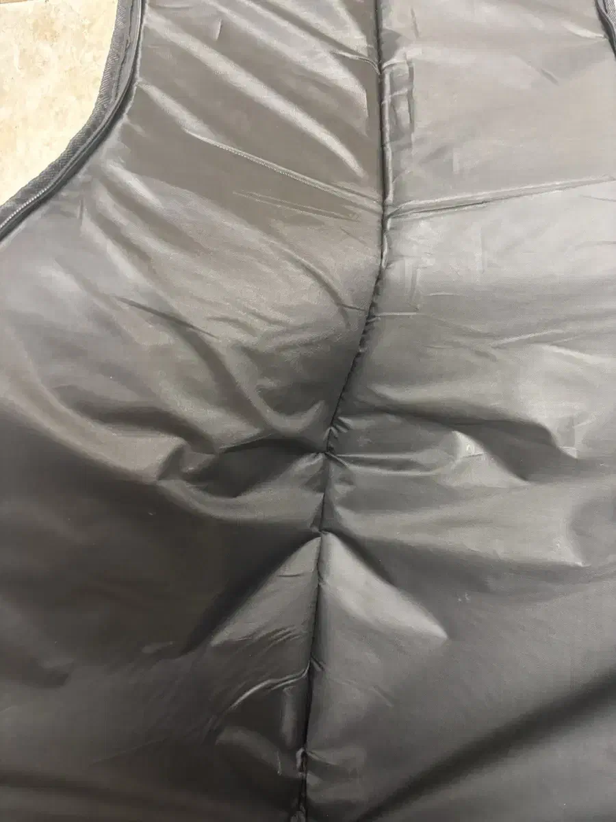 سافت کیس گیتار الکتریک ESP|گیتار، بیس، امپلیفایر|رشت, دیلمان|دیوار