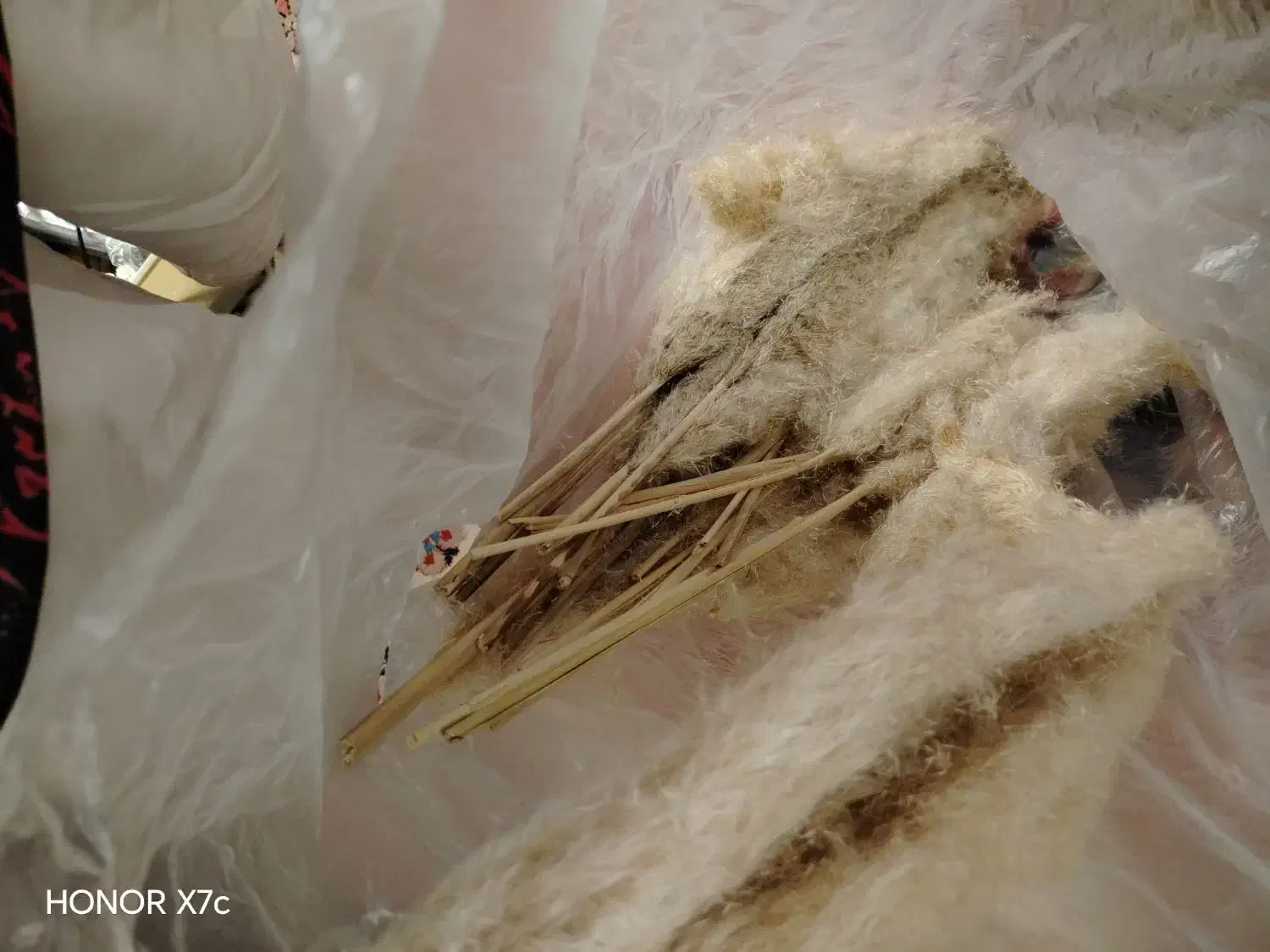 گل پام پاس|گل مصنوعی|شیراز, بریجستون|دیوار