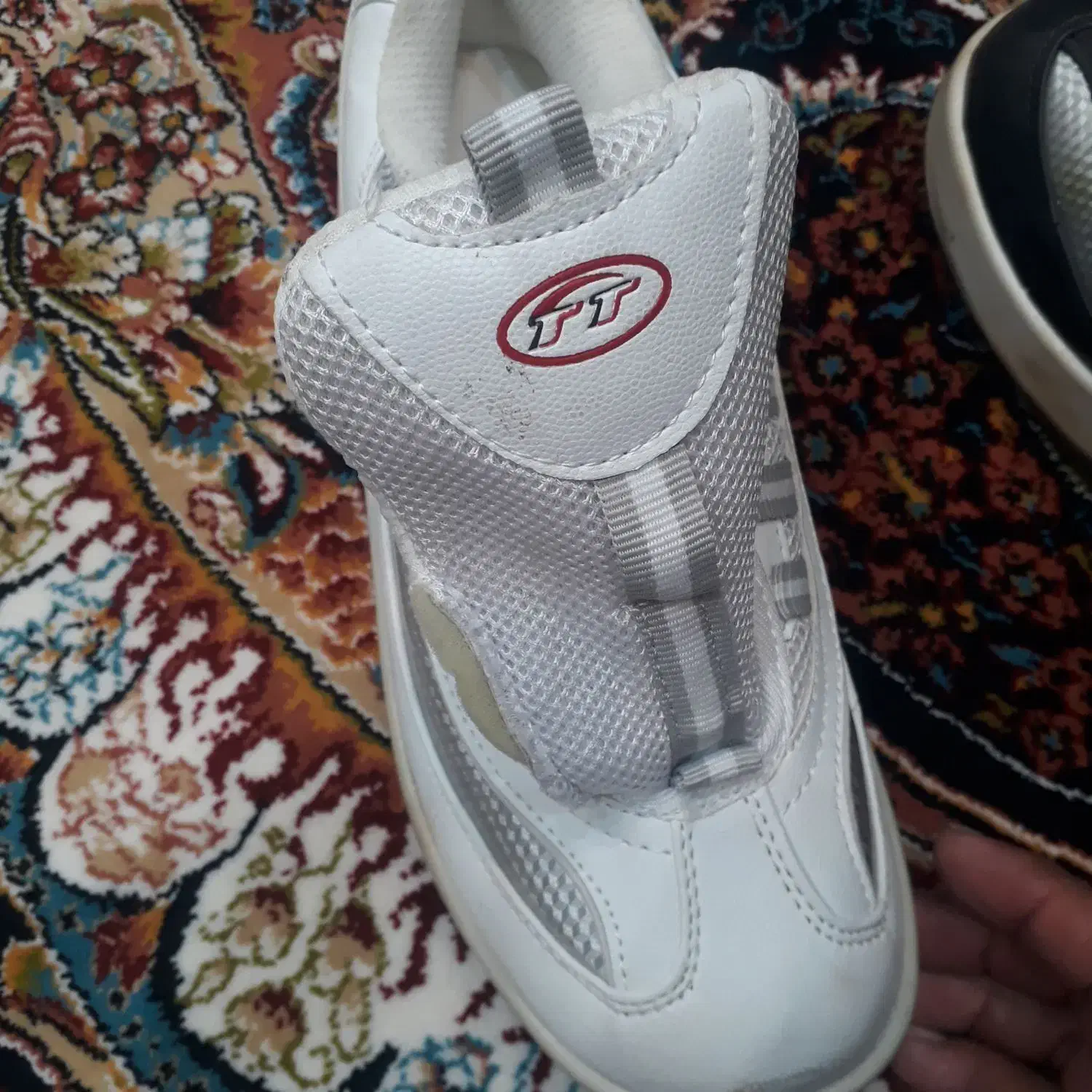 کفش ارزان|کیف، کفش، کمربند|ایوان, |دیوار