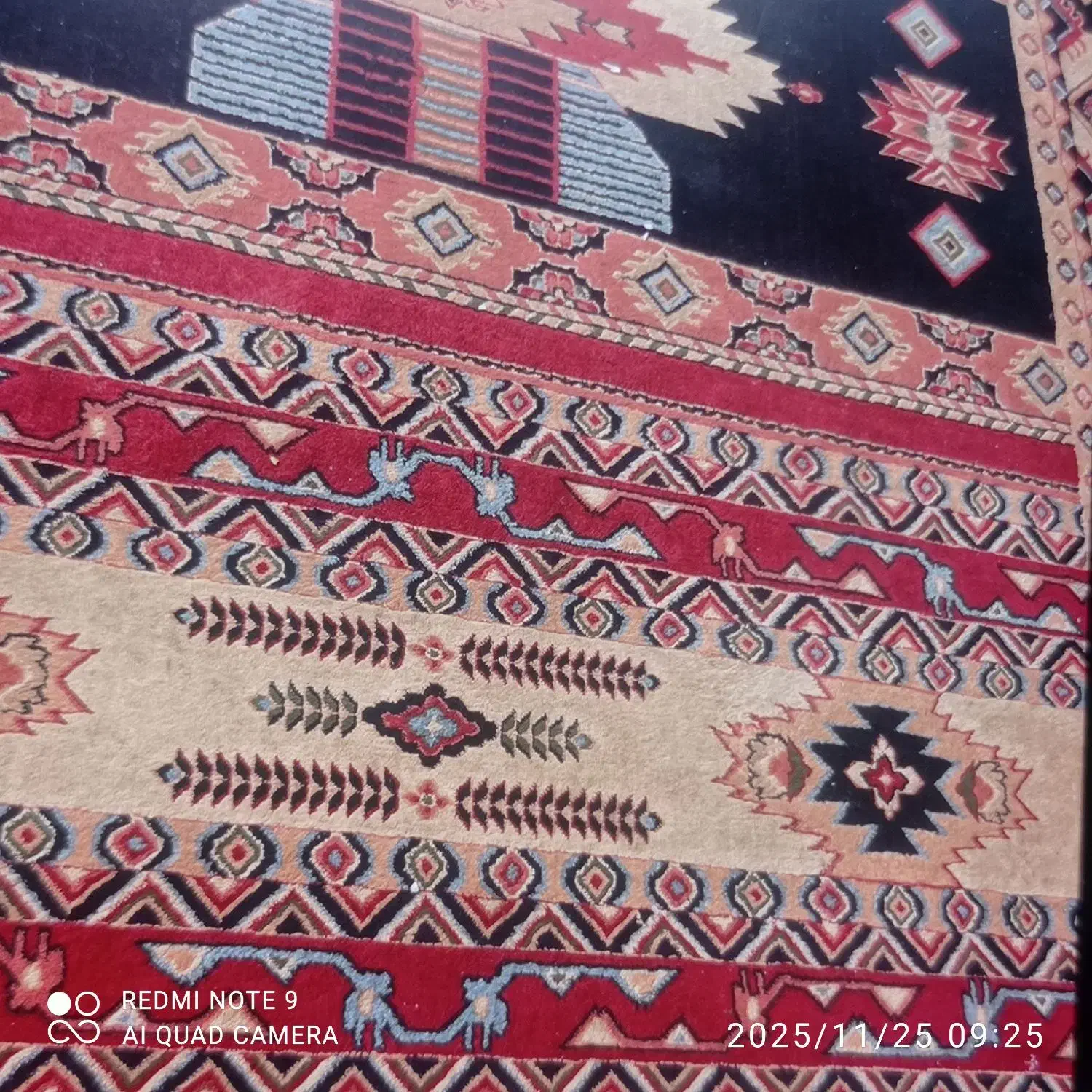 دو جفت فرش ۹ متری رنگ لاکی خوش رنگ ۵۰۰ شانه|فرش|شیراز, زرهی|دیوار