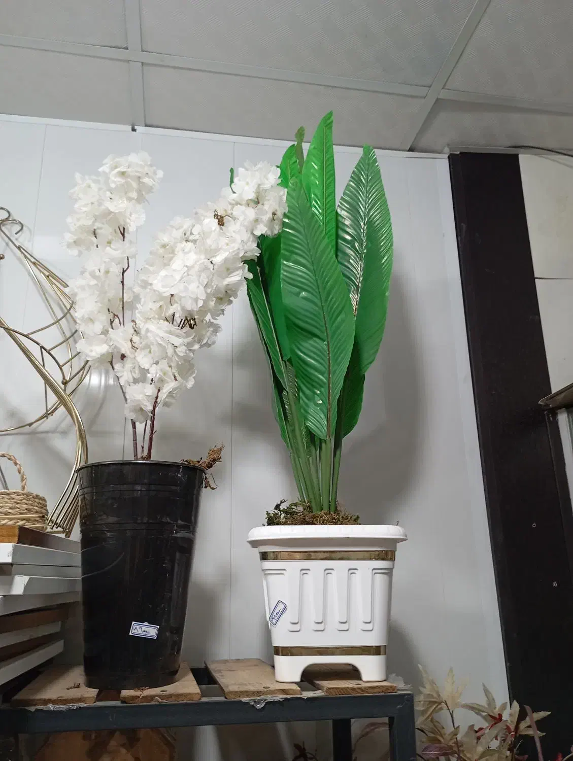 تخفیف ویژه گل و درختچه|گل مصنوعی|بندر کنگان, |دیوار