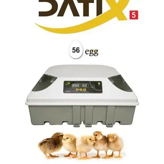 دستگاه جوجه کشی بلدرچین دماوند|لوازم جانبی حیوانات|گنبد کاووس, |دیوار